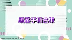 黑鲨手柄合集