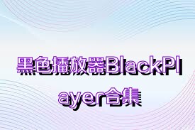 黑色播放器BlackPlayer合集