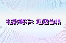 狂野飚车：超越合集