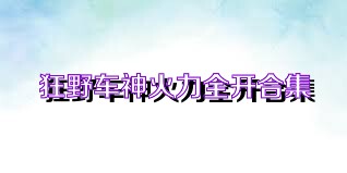 狂野车神火力全开合集