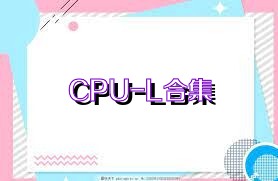 CPU-L合集