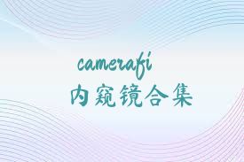 camerafi内窥镜合集