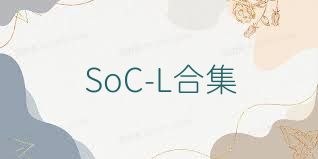 SoC-L合集