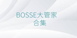 BOSSE大管家合集