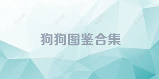 狗狗图鉴合集