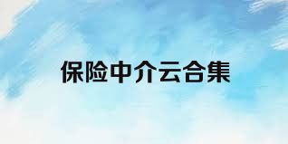 保险中介云合集