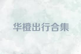 华橙出行合集
