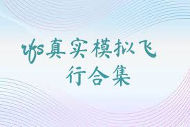rfs真实模拟飞行合集