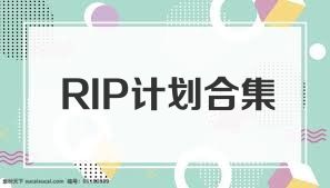 RIP计划合集