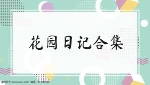 //imgs.nipaoba.com/nipaoba/6/27331-20250628100004685f4ca463dc6.jpg
