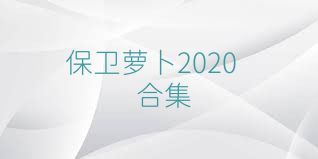 保卫萝卜2020合集