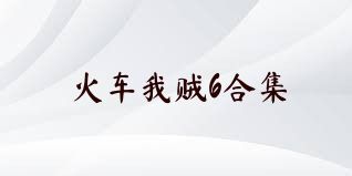 火车我贼6合集
