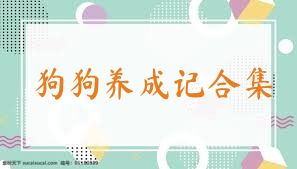 狗狗养成记合集