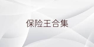保险王合集