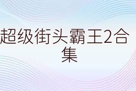 超级街头霸王2合集