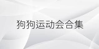 狗狗运动会合集