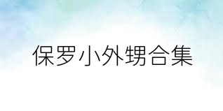 保罗小外甥合集