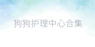 狗狗护理中心合集