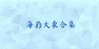 海豹大象合集